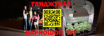прущие крисы Шебекино