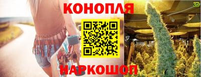 прущие крисы Шебекино