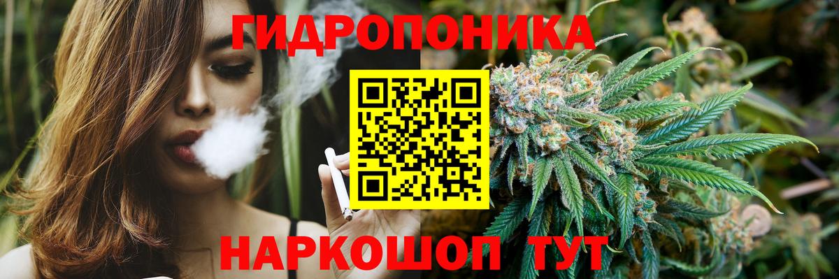 Каннабис индика  Вход с VPN  МАРИХУАНА планчик  Канабис ГИДРОПОН  Альметьевск  Бошки Шишки конопля 